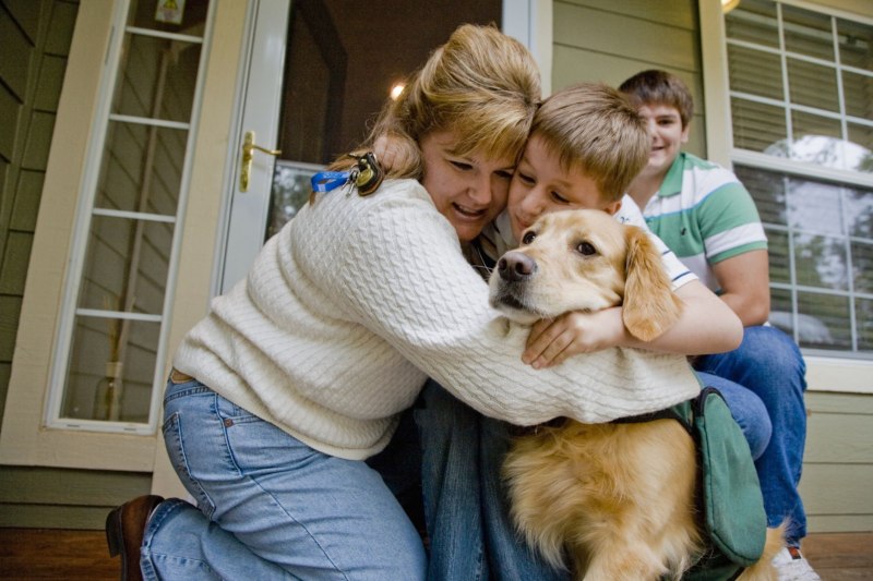 Family пэтс