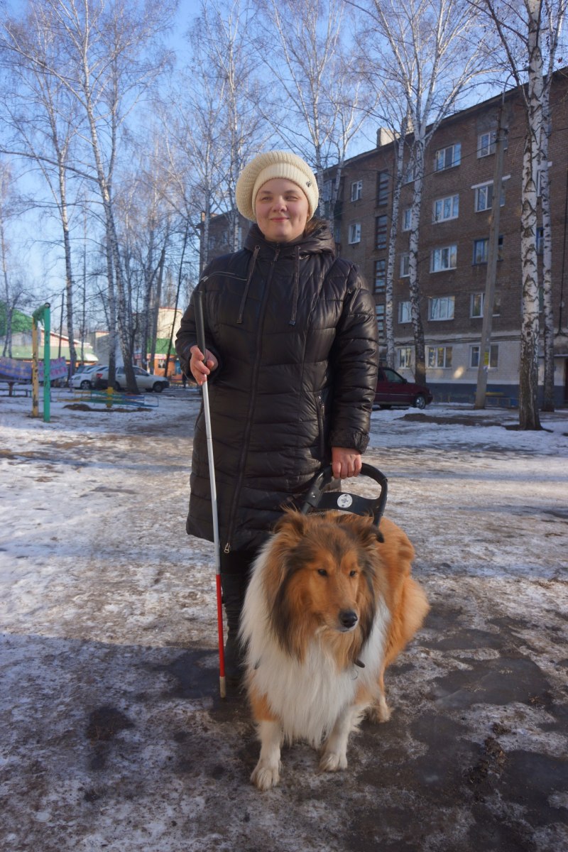 Немецкая овчарка собака поводырь