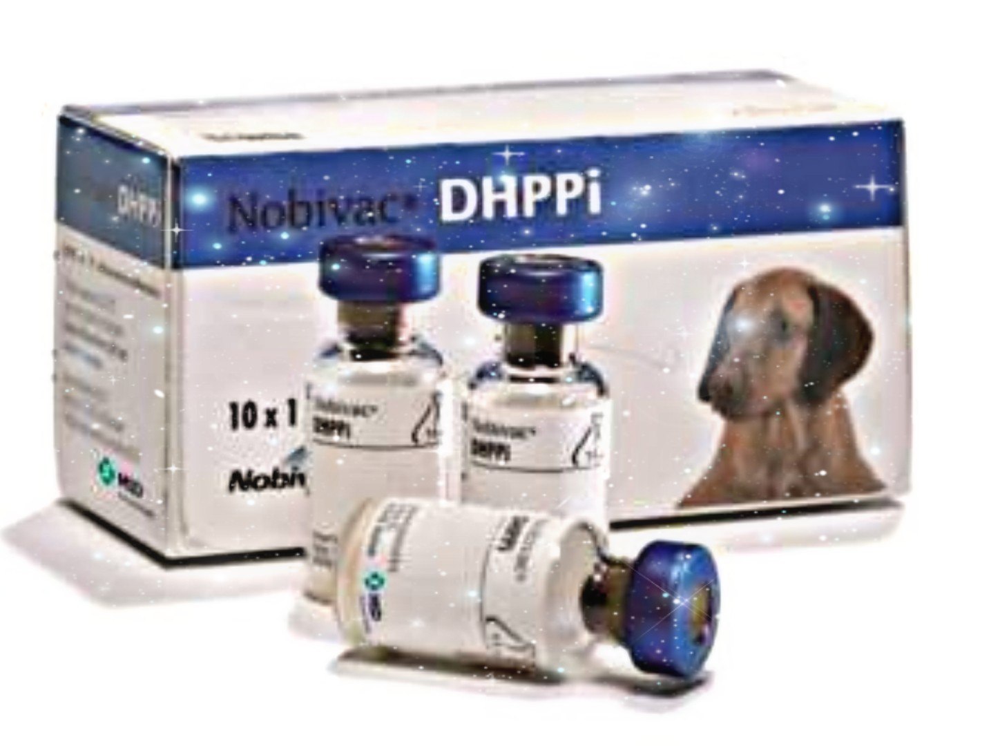Вакцина комплексная для собак купить. Нобивак DHPPI RL. Нобивак DHPPI RL для собак. Вакцина Нобивак DHPPI + RL. Нобивак трикет для кошек.