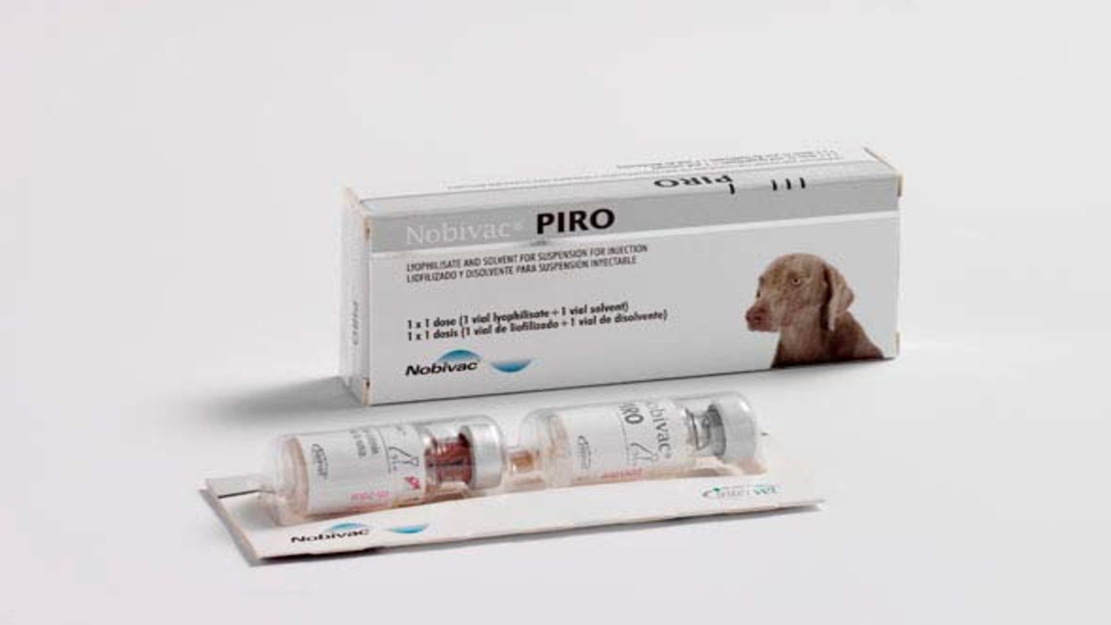 Вакцина пиродог. Вакцина для собак Nobivac. Вакцина от бабезиоза собак. Пиродог вакцина. Вакцины против пироплазмоза собак.