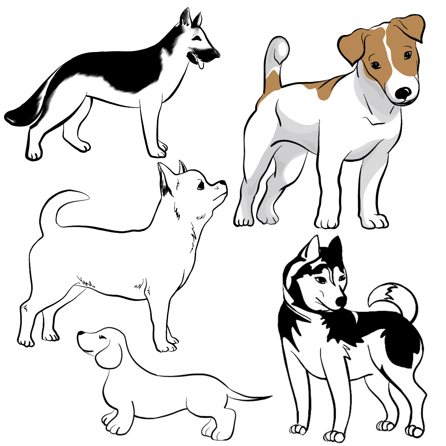 Породы собак нарисовать. Собака рисунок. Рисунок собаки для срисовки. Рисунок собаки карандашом для детей. Картинки собак для срисовки.