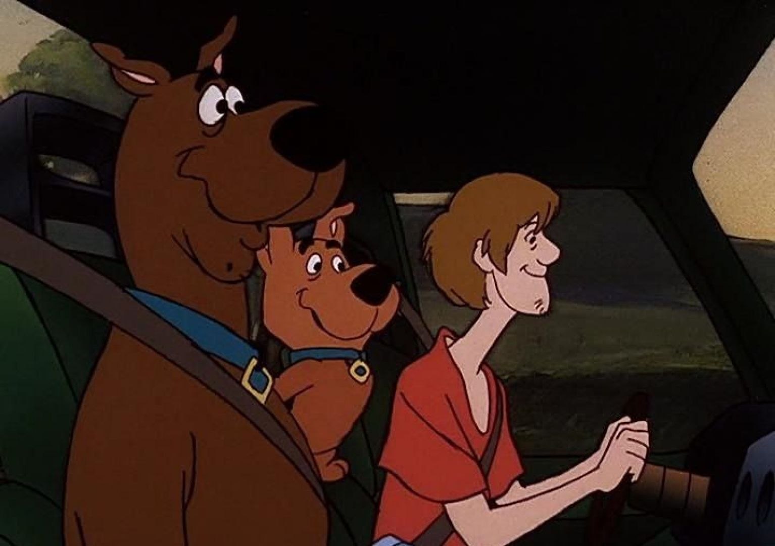 Приключения пса и его друзей. Скуби-Ду встречает братьев бу. Брат Скуби Ду. Scooby Doo 1987.