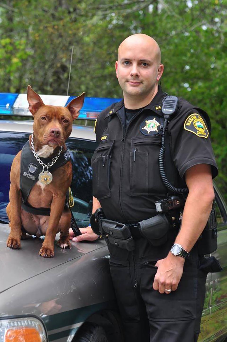 Собака в форме человека. Полицейский с собакой. Американские полицейские собаки. Милицейская собака. Собаки американской полиции.