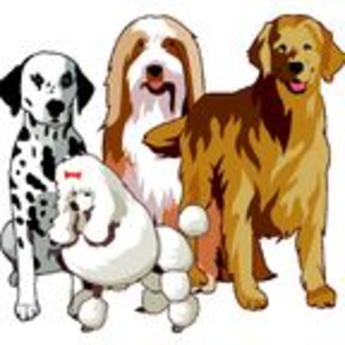 Играть в породы собак. Породы собак иллюстрации. Собака картинка для детей. Рисунки собак всех пород. Собака для презентации.