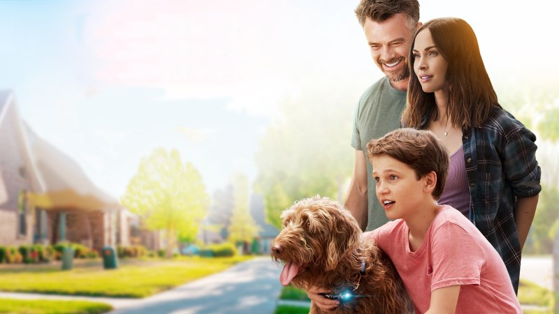 Think like a Dog фильм 2020