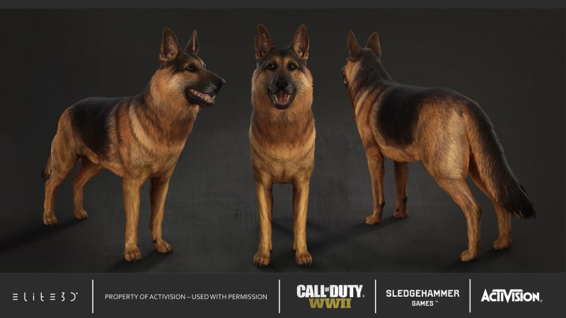 German Shepherd dick