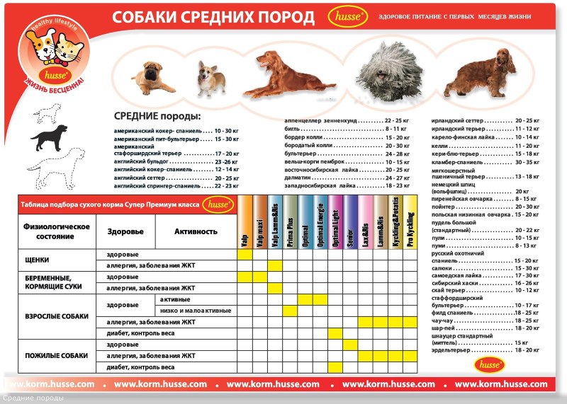 Корма для собак классификация