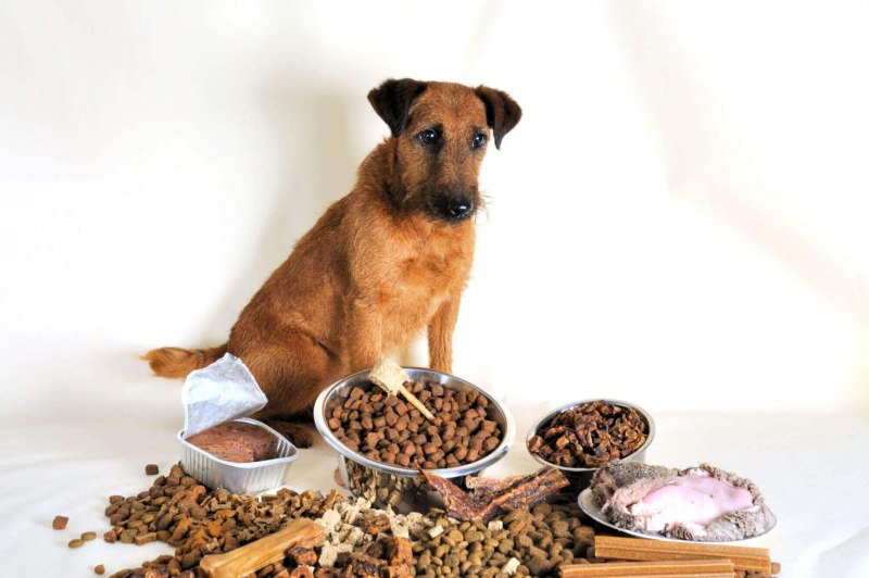 Корм для собак Blitz (2 кг) Puppy Lamb & Rice all Breeds Dry
