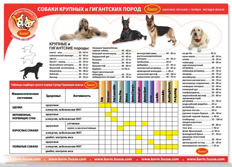 Классификация пород собак по размерам