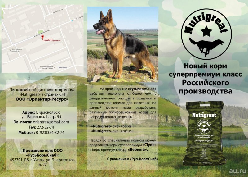 Корм для собак в коробке