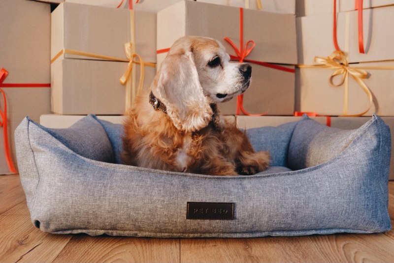 Snoozer cozy Cave Dog Bed