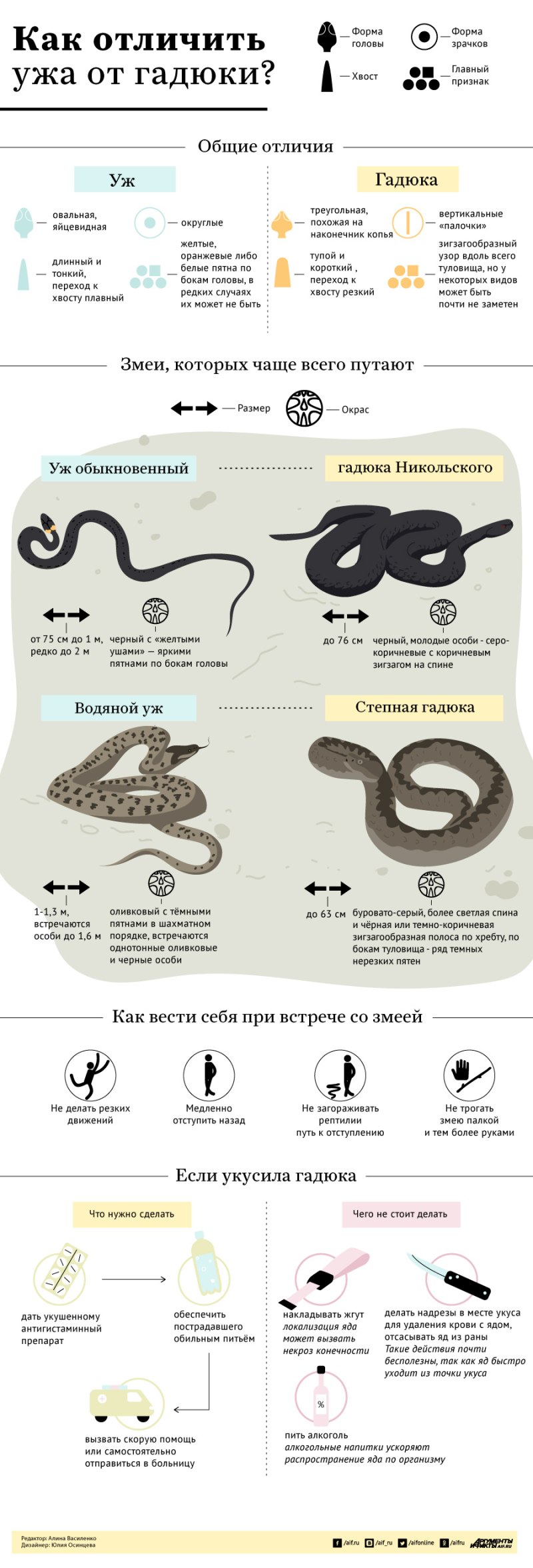Что делать если укусила гадюка