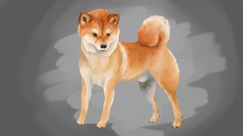 Сиба ину Самурай