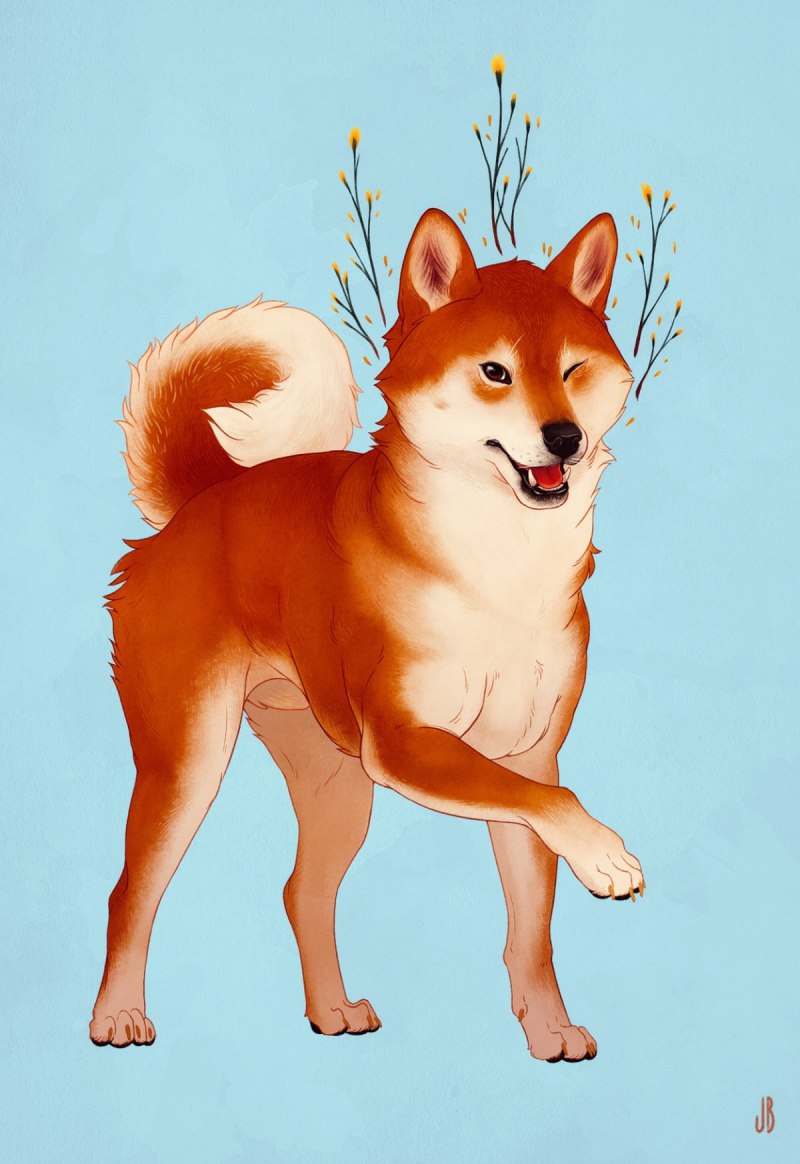 Сиба ину арт