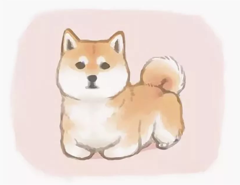 Кавайные Акита ину