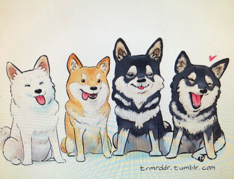 Акита ину аниме