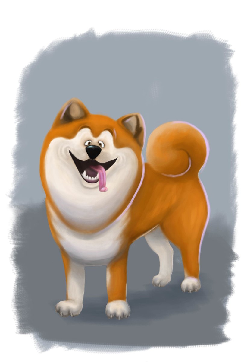 Сиба ину Чиби