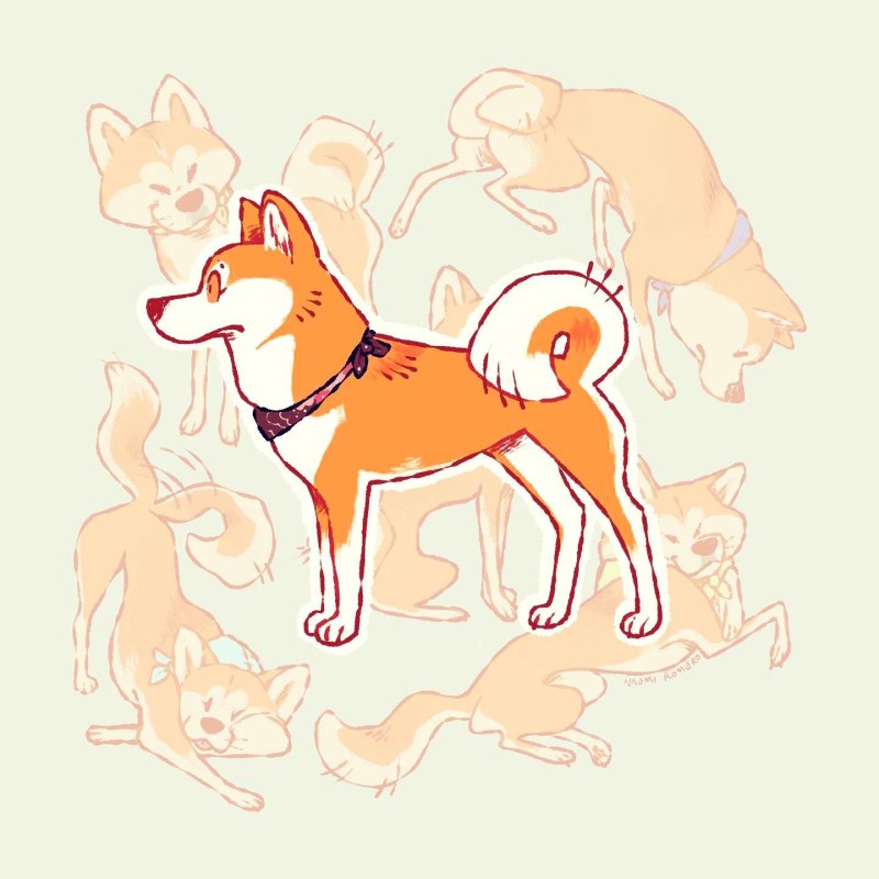 Акита ину референс