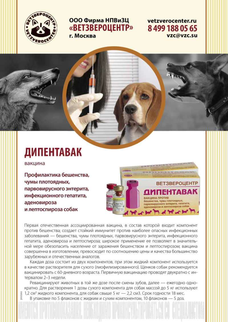Собака болеет