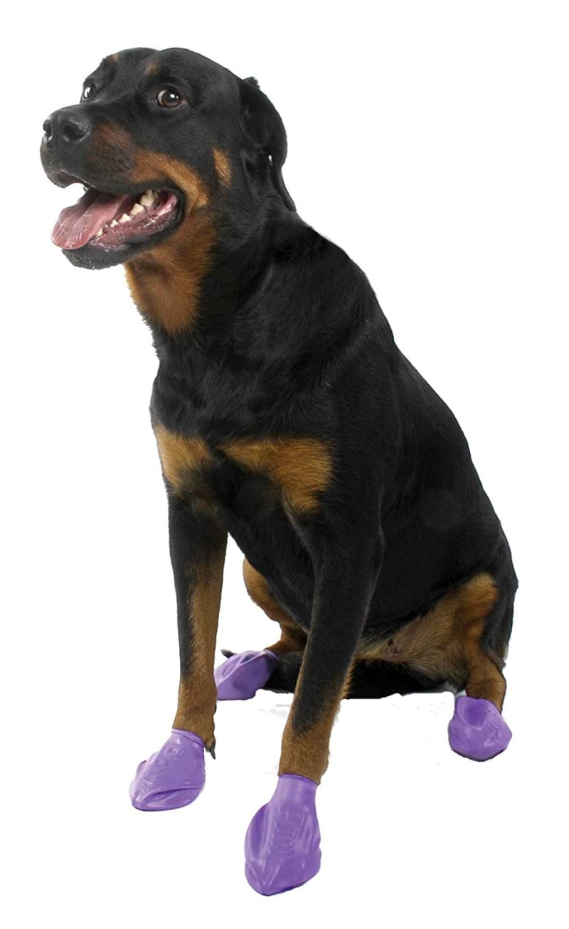Pawz обувь для собак