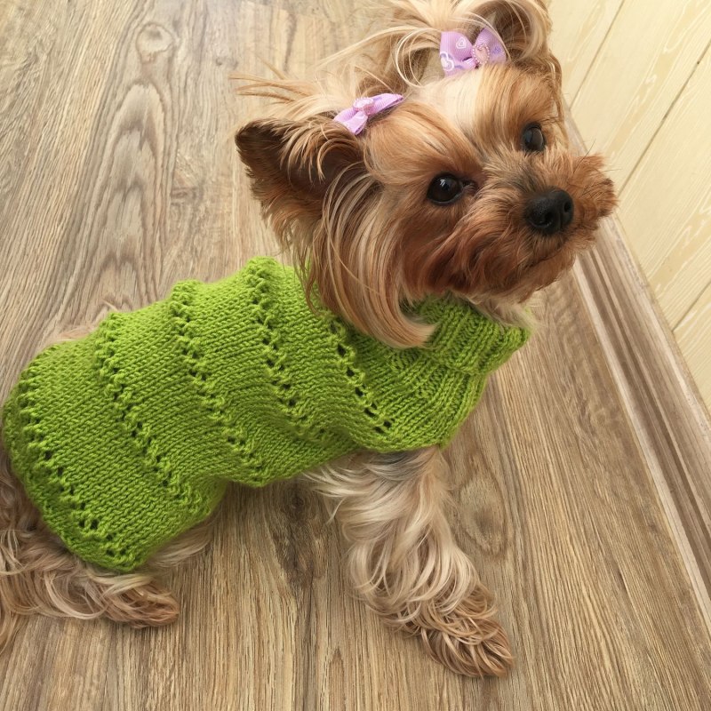 Создаем вязаную одежду для собак своими руками с выкройками