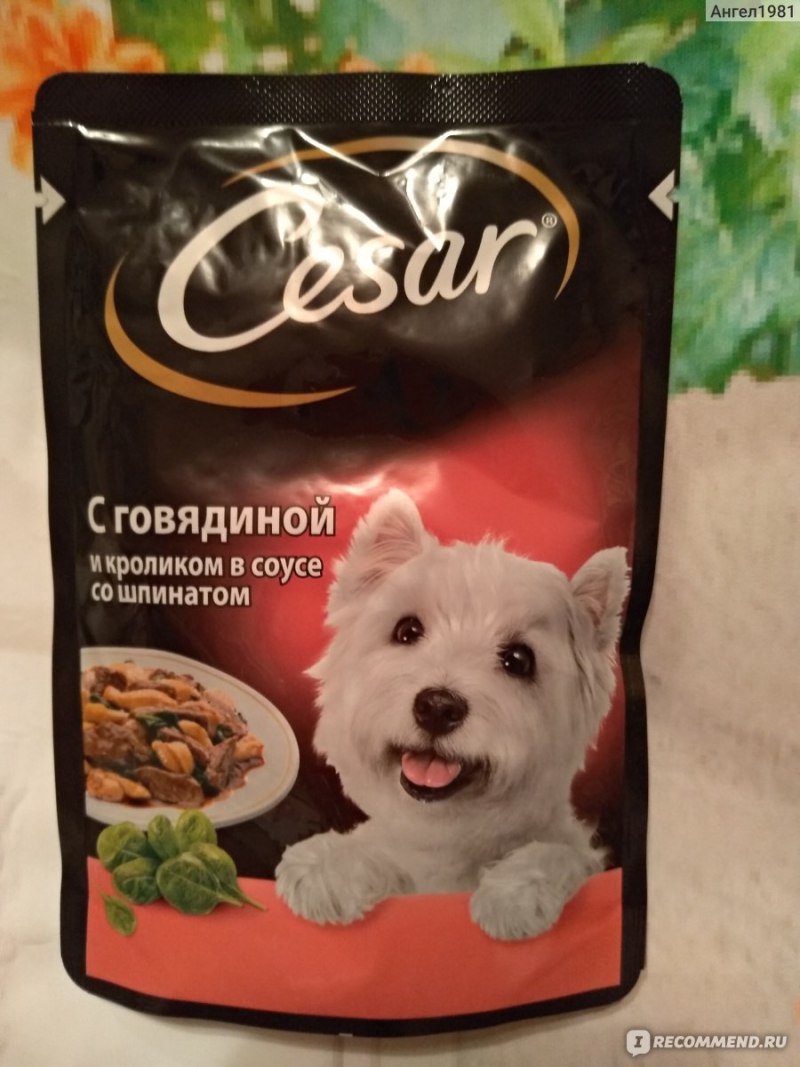 Паучи Cesar для собак