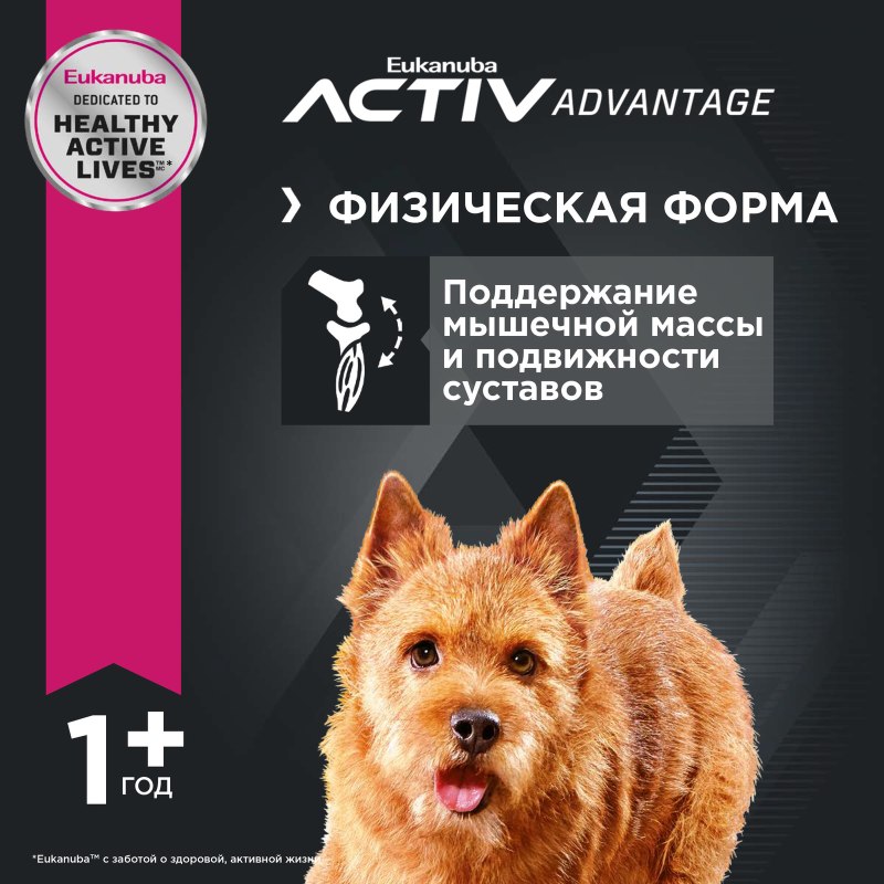 Eukanuba корм для собак средних пород, Eukanuba Dog Adult Medium Breed