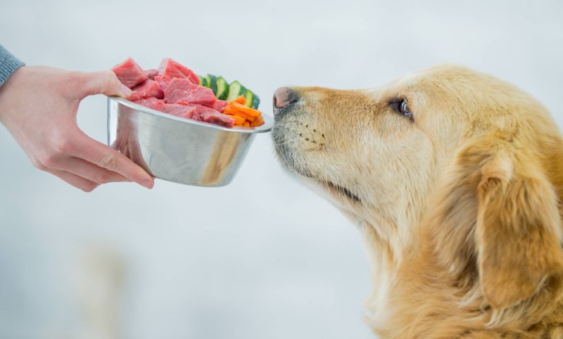Продукты для животных