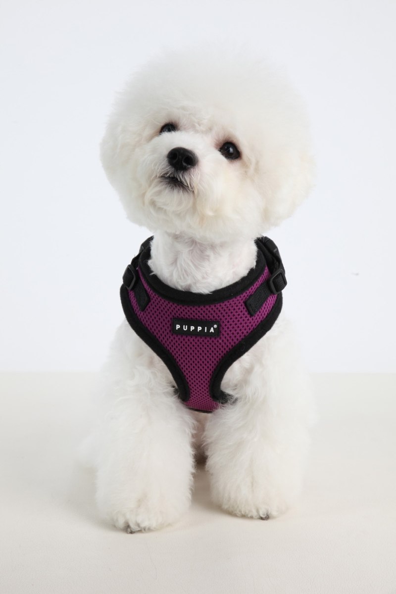 Шлейка Puppia RITEFIT