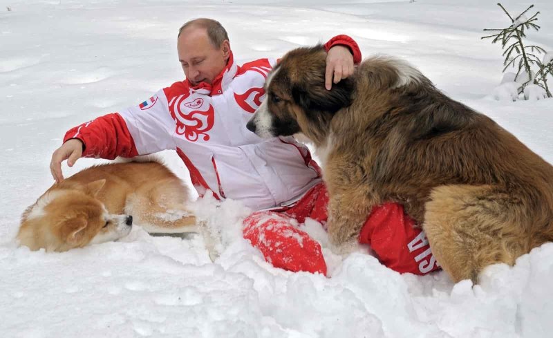 Акита Юмэ Путина