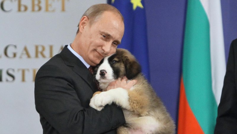 Путин каракачанская овчарка