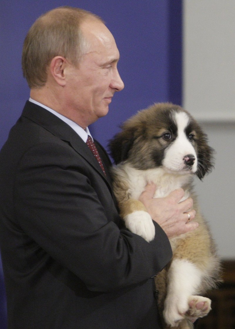 Болгарская овчарка Баффи Путина