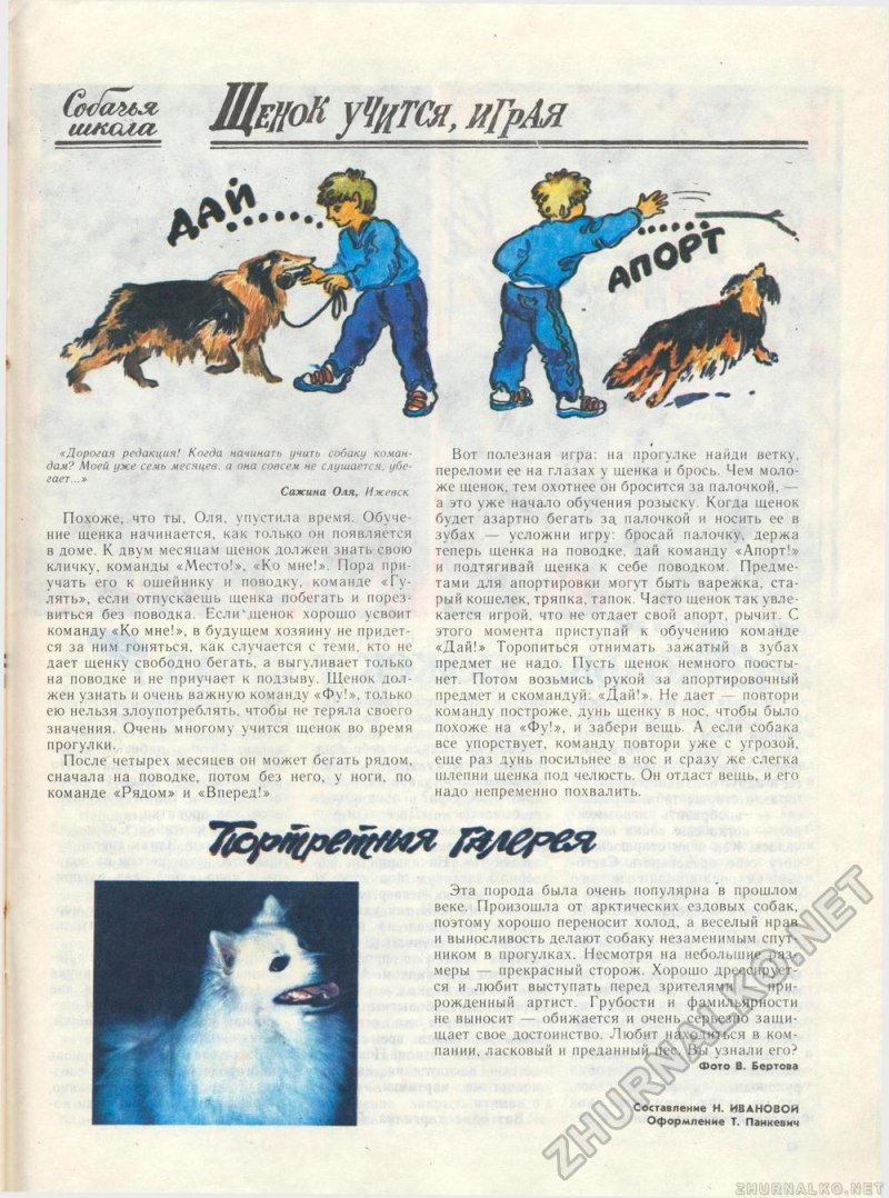 Основные команды для собак