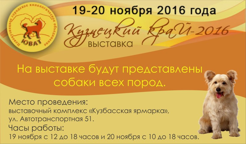 Выставка собак в Новокузнецке
