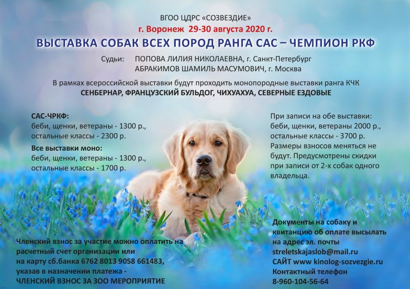 РКФ монопородные выставки