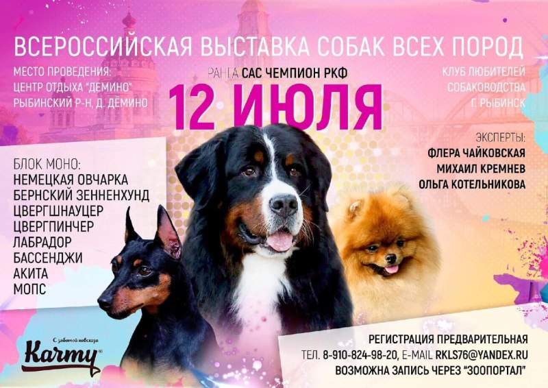 Выставка собак 2020