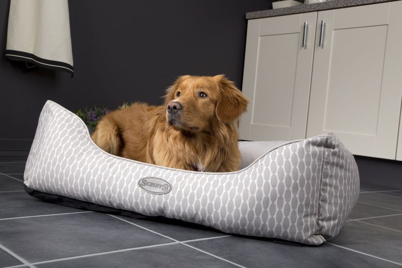 Лежак для собак Scruffs Chester Mattress l 100х70х8 см