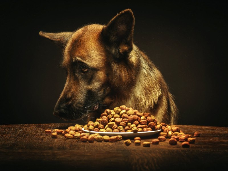 Royal Canin для ротвейлера