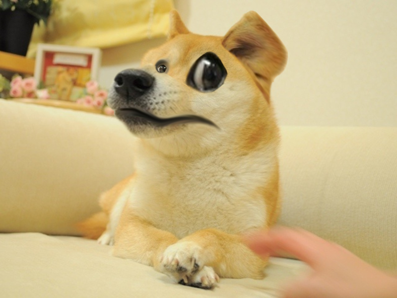Собачка Doge