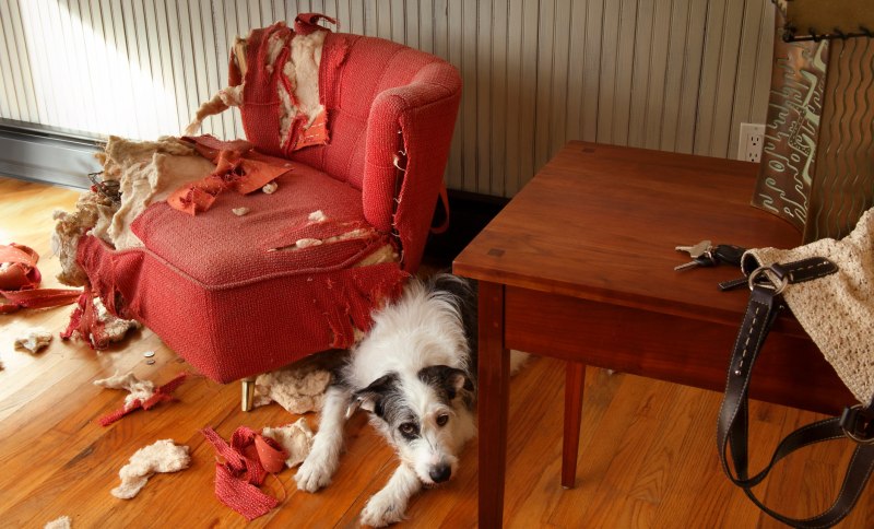 Лежак Luxury cozy Dog