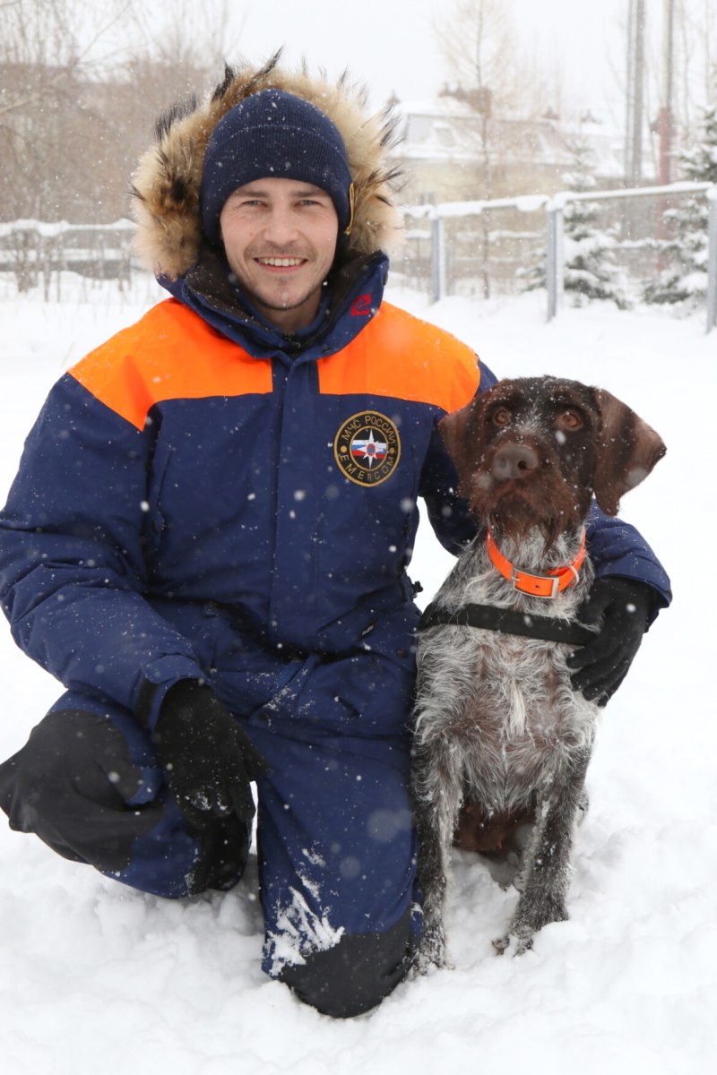 Порода собак Доберман