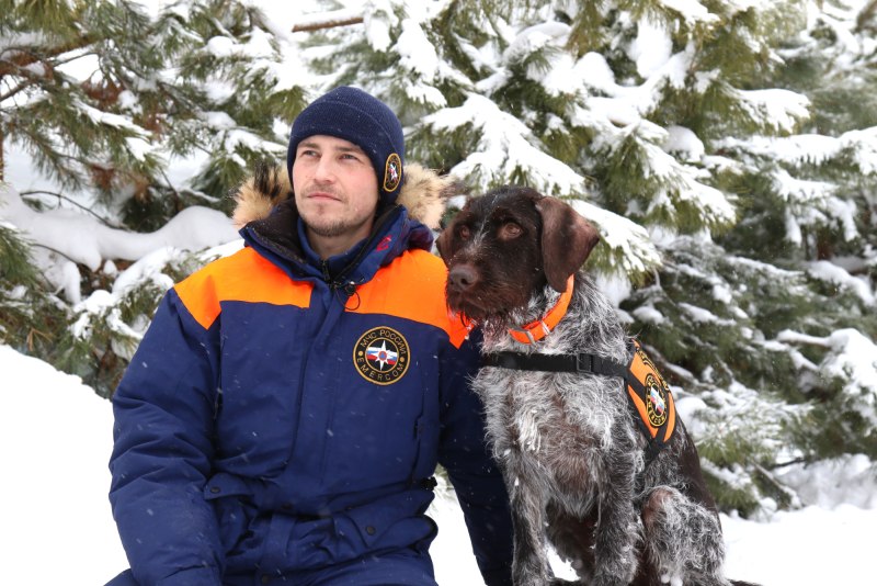 Ретривер и лабрадор ретривер