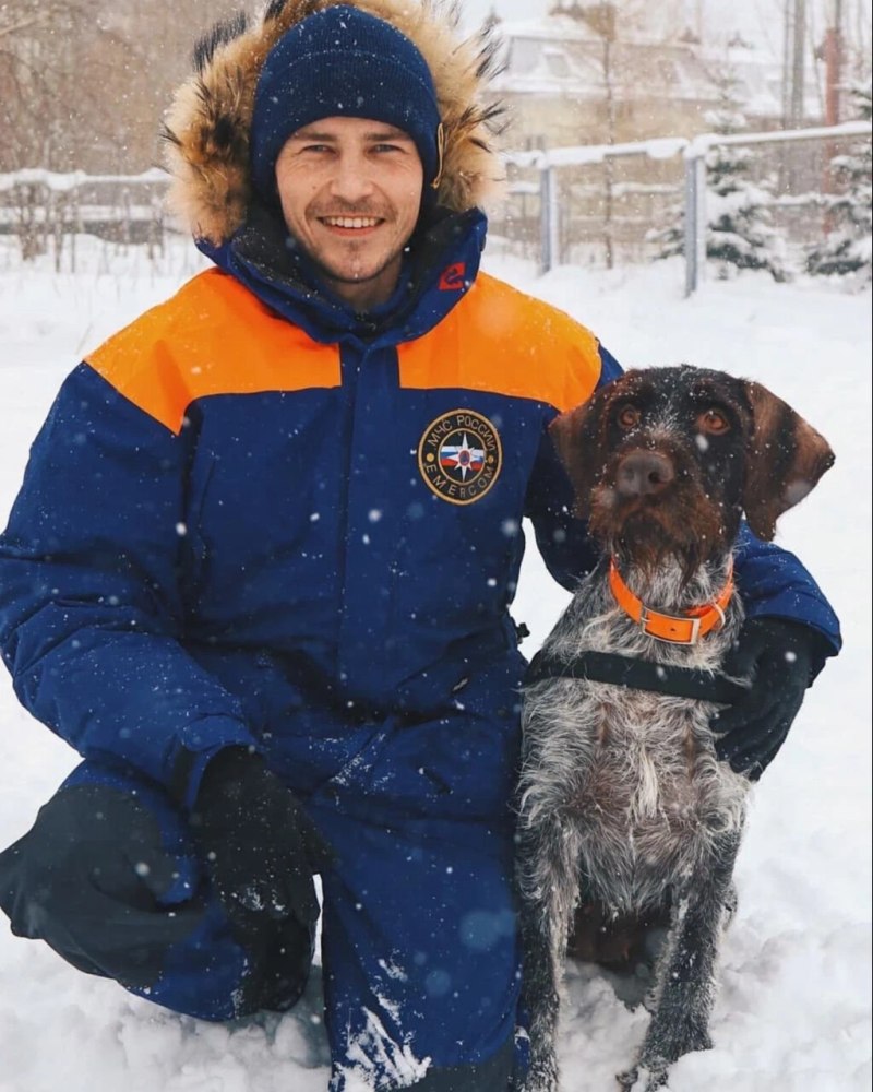 Художественные фотографии собак