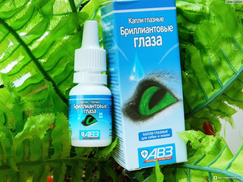 Глазные капли Бриллиантовые глаза для кошек
