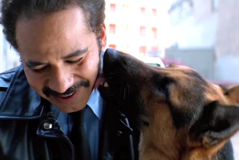 Собачья жизнь (2017) (a Dog's purpose)