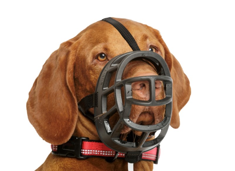 Намордник Trixie Muzzle Flex