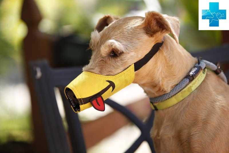 Намордник Muzzle Flex силикон