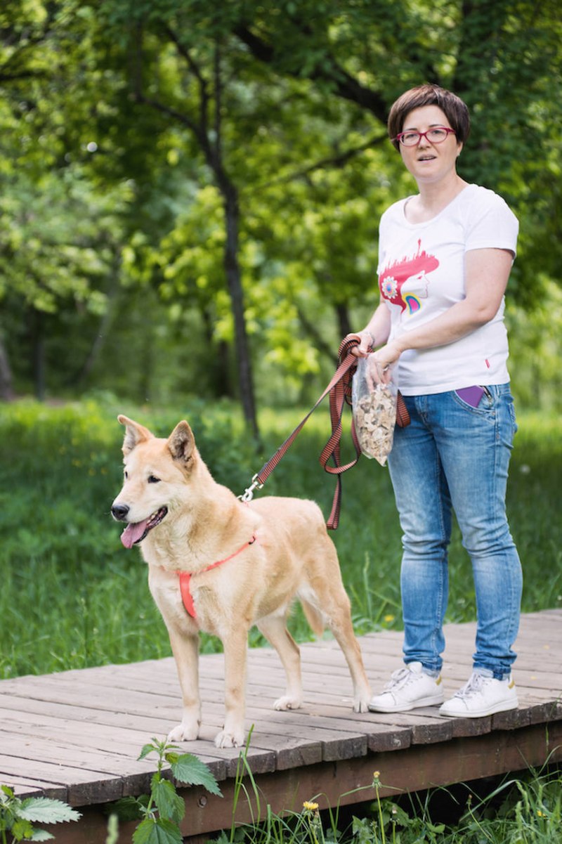 Средняя собака для семьи