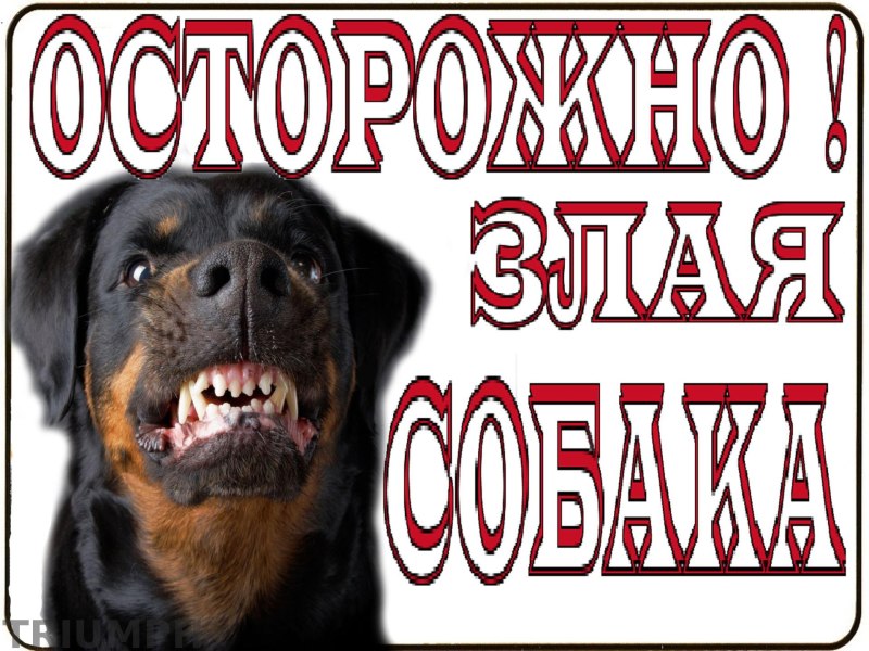 Осторожно, злая собака!