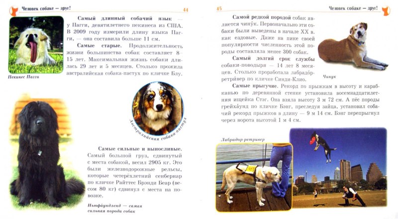 Семья с собакой